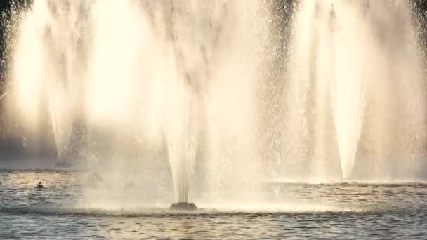 Fountains and ducks, slow-mo. — Stock Video