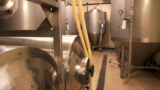 Litet bryggeri, hantverksöl produktion. — Stockvideo