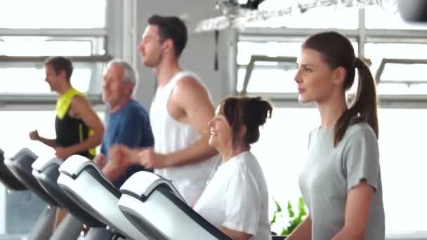 Group of people training on treadmill. — Stock Footage Group of people training on treadmill. Royalty Free Stock Footage