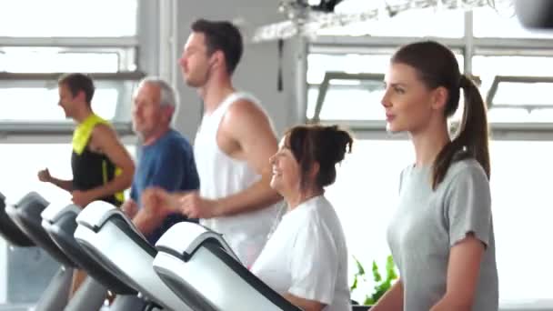 Group of people training on treadmill. Video Clip