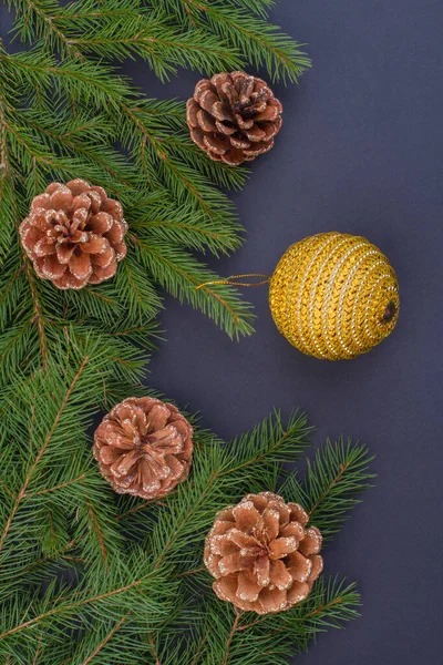 Weihnachtlicher immergrüner Rand auf dunklem Hintergrund. — Stockfoto