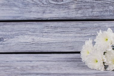 Ahşap arka planda Sevgililer Günü çiçekleri.