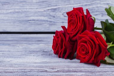 Kopya alanı olan üç kırmızı gül.