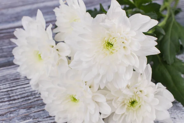 Μπουκέτο από λευκά χρυσάνθεμα λουλούδια. — Φωτογραφία Αρχείου