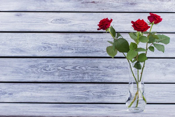 Розы в вазе с копировальным пространством . — стоковое фото