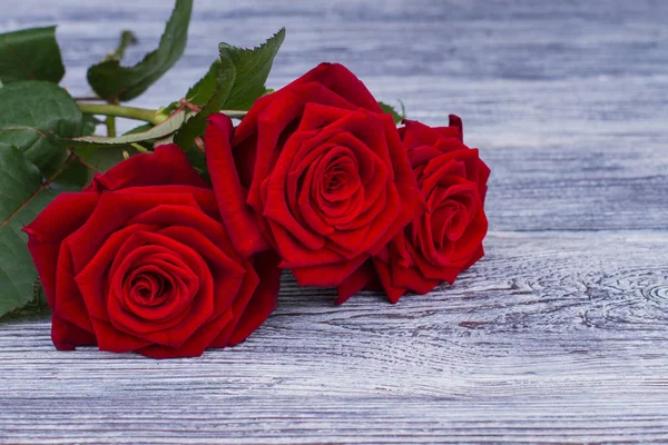 Fundo romântico com flores vermelhas rosa . — Fotografia de Stock