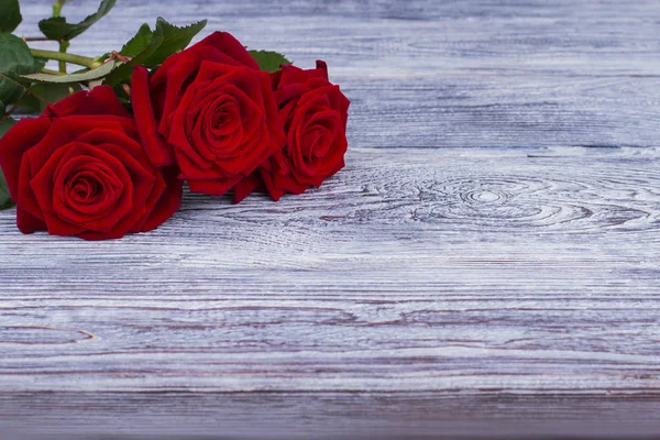 Красные розы на столе с копировальным местом . — стоковое фото