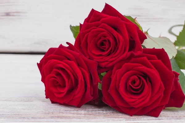 Red roses background. — Stock Photo, Image