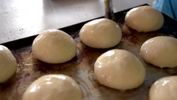 Пекарь руки мажет желтки на булочки теста . — стоковое видео