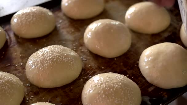 Άψητα ψωμάκια στο δίσκο του φούρνου. — Αρχείο Βίντεο