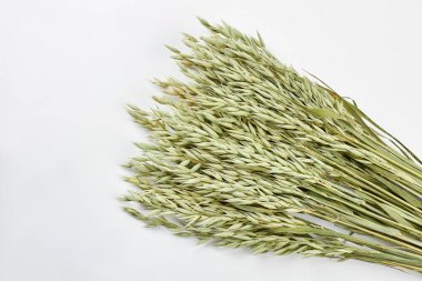 Beyaz arka planda bir parça yulaf kulağı.