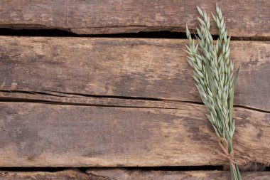 Kırsal ahşap arka planda yeşil arpa kulakları.