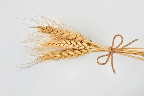 Колючки пшеницы на белом фоне. — стоковое фото