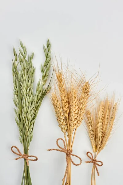 Концепция зерновых культур . — стоковое фото