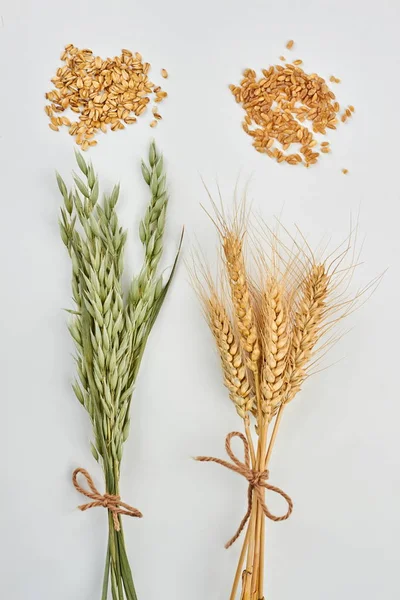 Oat plants and wheat ears.