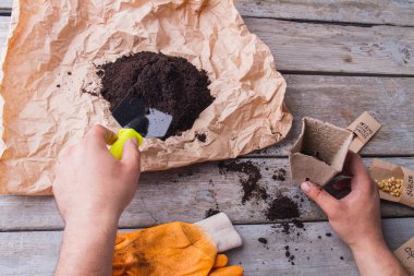 Tohum ekme işlemi, erkek elleri bahçe küreğiyle.