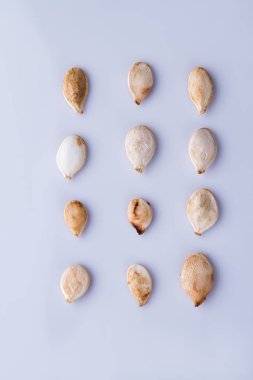 Columns of raw pumpkin seeds.