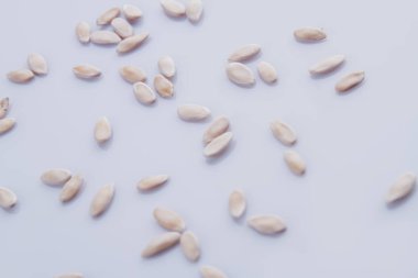 Many brigtht pumpkin seeds scattered around.