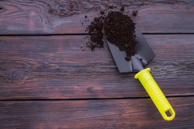 Trowel shovel tool with soil.
