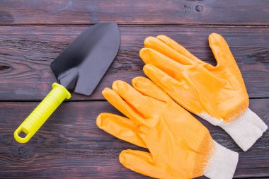 Gardeners accessories, gloves and trowel.