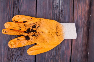 Orange garden glove with soil dirt after hard work.