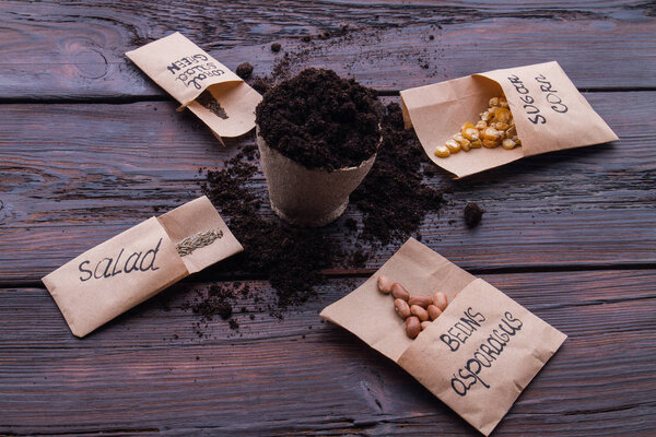 Planting fibre cardboard cup concept.