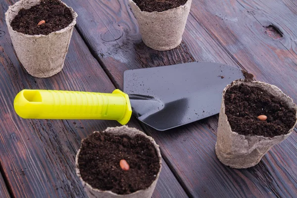 Gardeners working tool spatula and seeded plant pots. — 스톡 사진