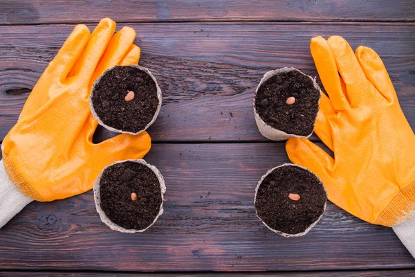 Gardeners protective gloves and seeded fibre pots. — 스톡 사진