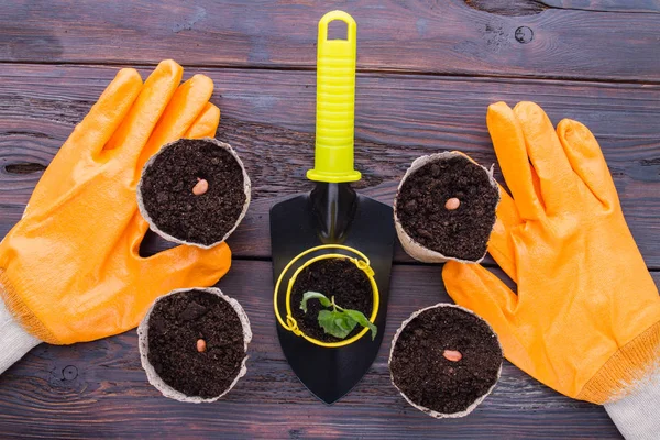 Gardening gloves and trowel with pots. — 스톡 사진