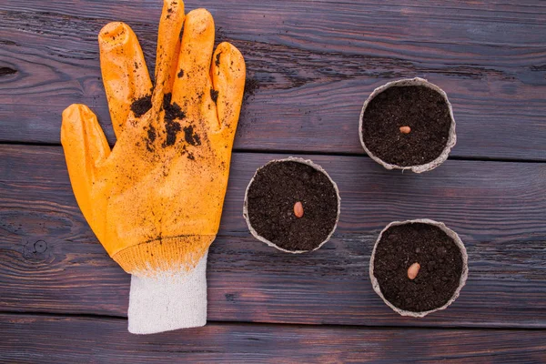 Seeded pots for plants and dirty gardening glove. — 스톡 사진