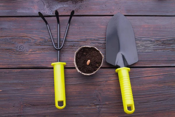 Herramientas para jardinería y maceta de fibra sembrada . — Foto de Stock