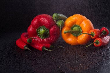 Biber takımı su altında..