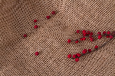 Dal üzerinde kırmızı kuru meyveler.