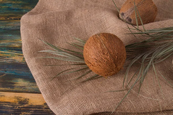 Kokosnötter med palmgren. — Stockfoto