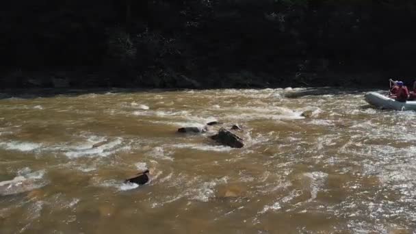 Gente haciendo kayak en el río de montaña . — Vídeos de Stock