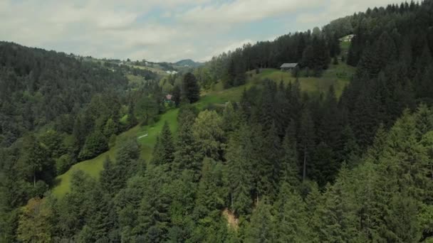 Paysage alpin estival pittoresque . — Video