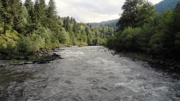 Rapid river is flowing bewtween the stones in Carpathian mountains. — Stock Video