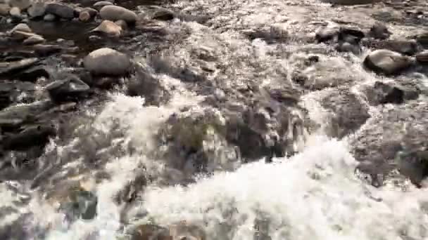Rapid stream of mountain river. — Stock Video