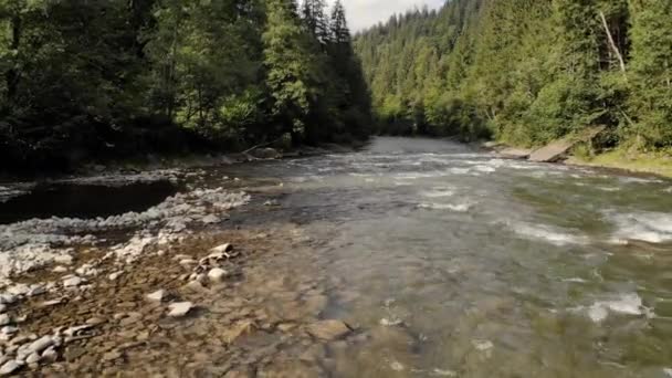 Paisaje con río fluyendo en bosque montañoso . — Vídeos de Stock