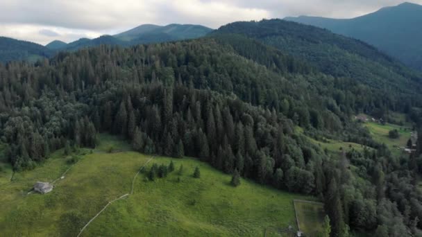 Krajina s lesy a zelenými loukami v horách. — Stock video
