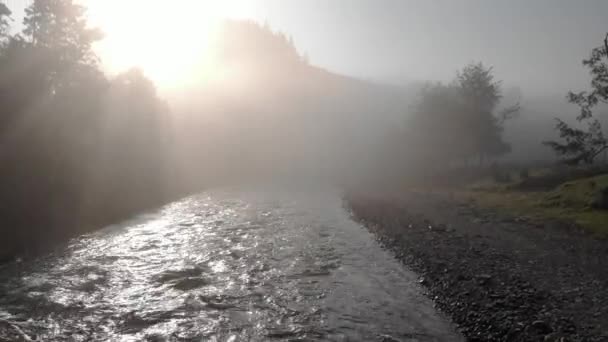 Потрясающий утренний туманный восход солнца над спокойной рекой . — стоковое видео