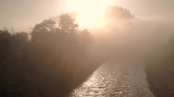 Καλοκαίρι ειρηνική ανατολή σε ένα ποτάμι που καλύπτεται από ομίχλη. — Αρχείο Βίντεο