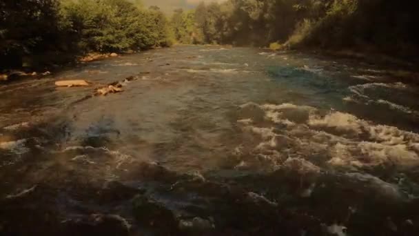 Snelle rivier over stenen in het bos. — Stockvideo