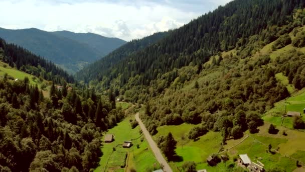 Γραφικό τοπίο της υπαίθρου στα Καρπάθια βουνά. — Αρχείο Βίντεο