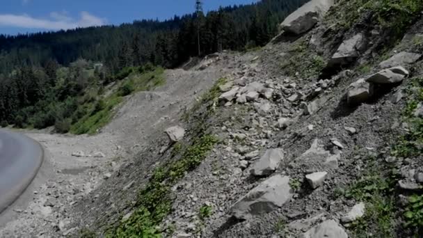 Rocky cliff covered with coniferous forest. — Stock Video