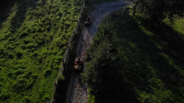 Lidé jezdí na čtyřkolkách na venkově v létě. — Stock video