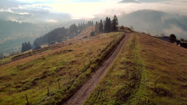 クワッドバイクに乗る人々と夏の山の風景. — ストック動画
