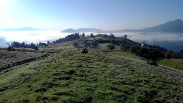 Gente montando quads en montañas de niebla de fondo . — Vídeos de Stock