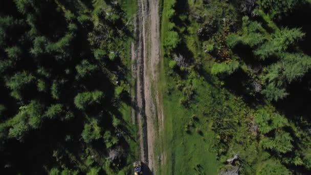 Paisaje forestal de verano con hombre montando en quad bike . — Vídeo de stock