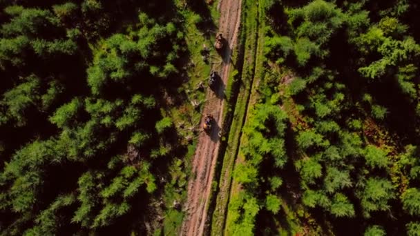 People riding on quad bikes, aerial view. — Stock Video
